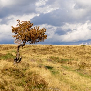 Rando Les Hautes Chaumes by @NataFranceAuvergne-10